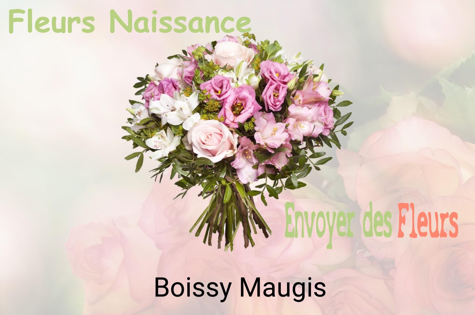 Bouquet de fleurs de naissance livré à Boissy-Maugis